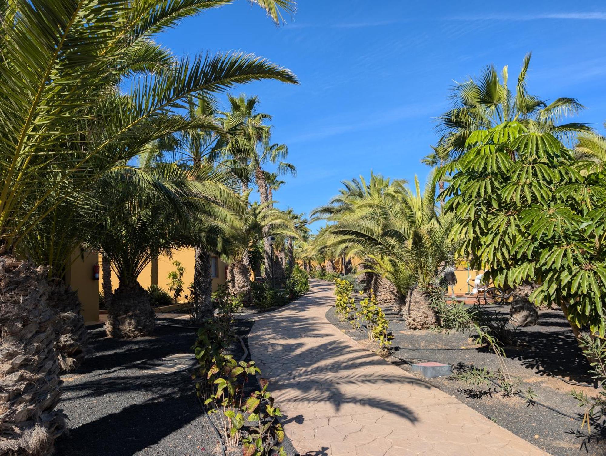 Casa Miro Apartment Corralejo Bagian luar foto