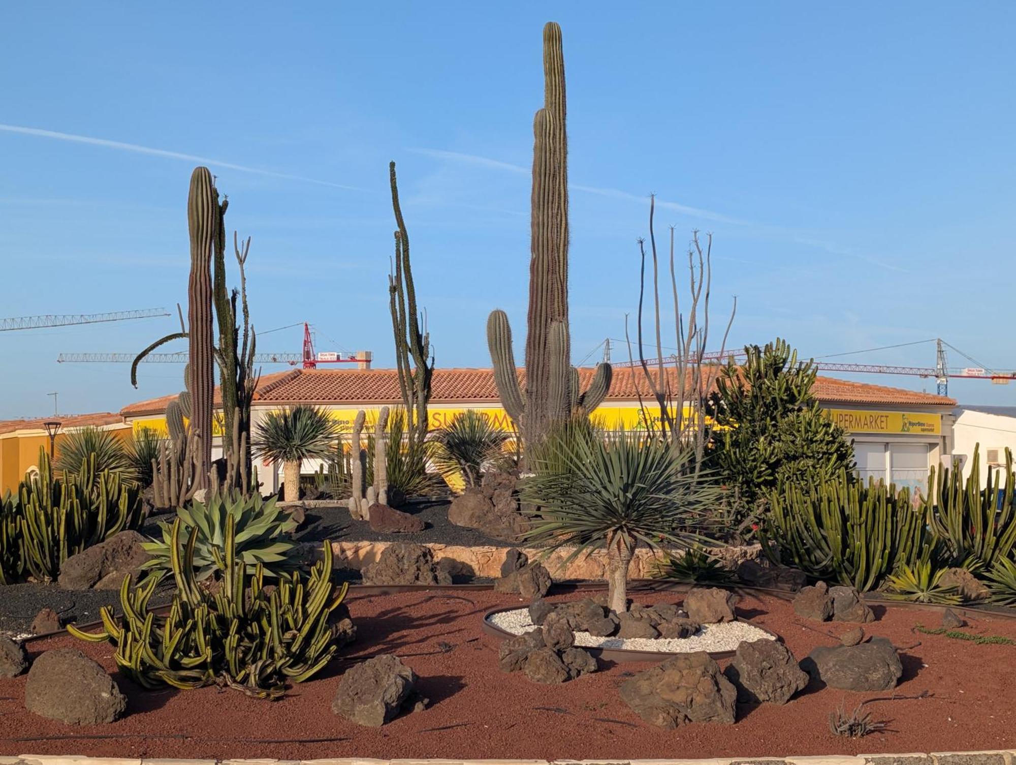 Casa Miro Apartment Corralejo Bagian luar foto